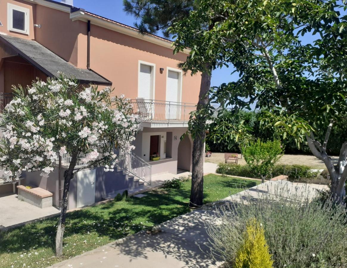 Villa Nonno Nicola Монтенеро-ді-Бізачча Екстер'єр фото